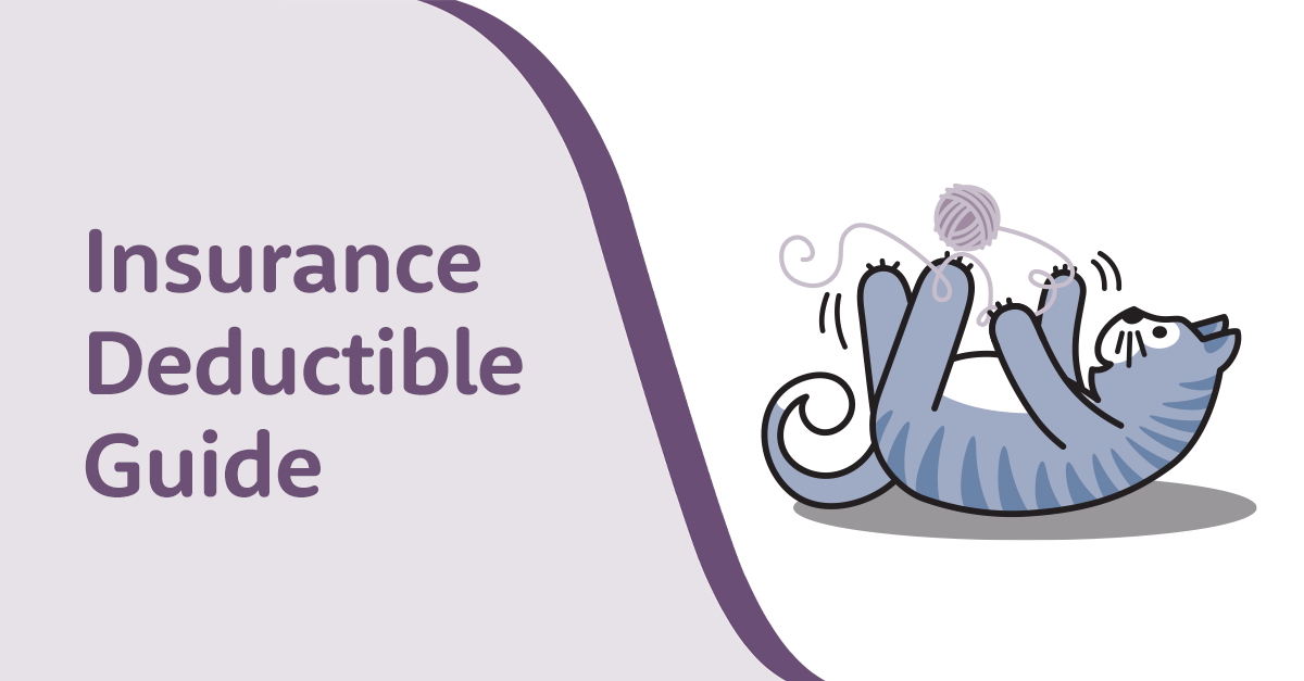 Pet Insurance Deductibles Explained Furkin Pet Insurance